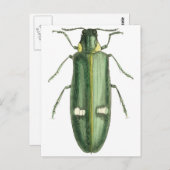 金属製の木穴あけ甲虫 ポストカード (正面/裏面)