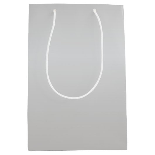 金属製の銀ベル ミディアムペーパーバッグ (正面)