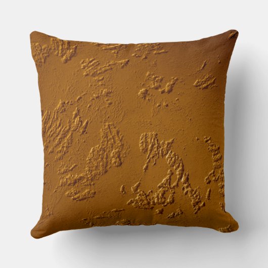 金属青銅 クッション (裏面)