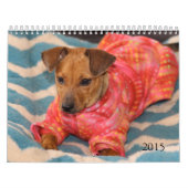 金庫は2015カレンダーを渡します カレンダー (カバー)