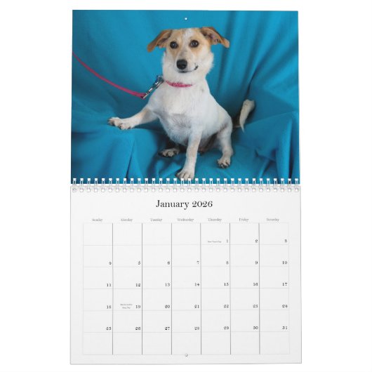 金庫は2015カレンダーを渡します カレンダー (1月 2026)