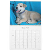 金庫は2015カレンダーを渡します カレンダー (3月 2026)