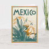 金庫旅行-メキシコのイラストレーション カード (正面)