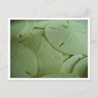 金持ちだ！ ポストカード