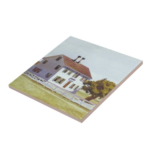 金持ちの家 タイル (側面)