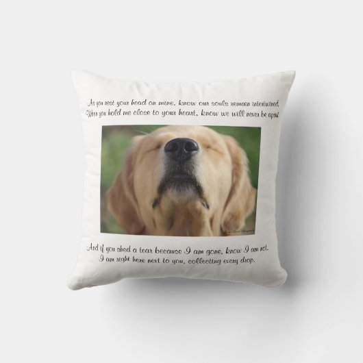 金旅行によるパーソナライズな記憶の枕 クッション (裏面)