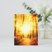 金日光輝葉書 ポストカード (スタンド正面)