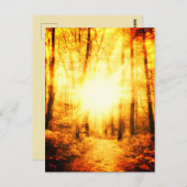 金日光輝葉書 ポストカード (正面/裏面)