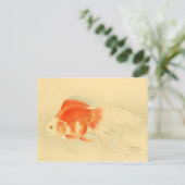 金日本の魚。リュウキン。 ポストカード (スタンド正面)