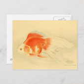 金日本の魚。リュウキン。 ポストカード (正面/裏面)