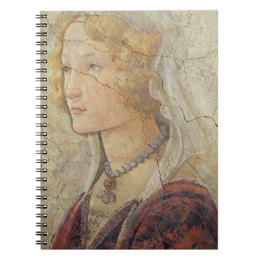 金星およびGirにギフトを提供する3優美 ノートブック (正面)