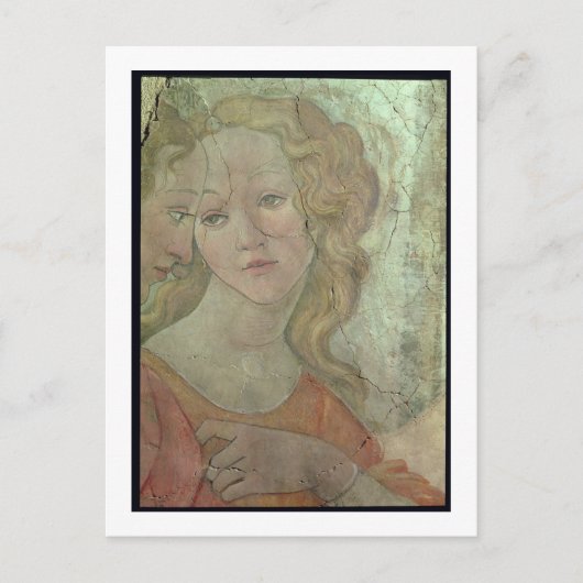 金星と三美神が贈り物をする ポストカード (正面)