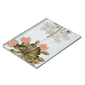 金星のはえトラップ、「コレクションPrecieuからのプレート84、 ノートブック (左側)