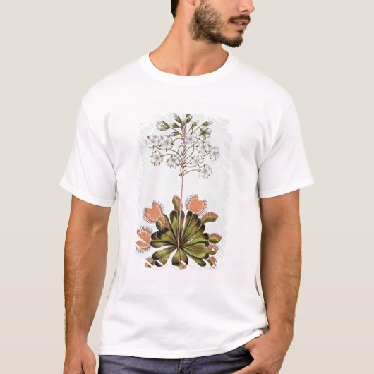 金星のはえトラップ、「コレクションPrecieuからのプレート84、 Tシャツ (正面)