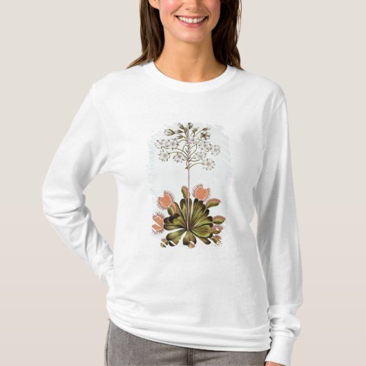 金星のはえトラップ、「コレクションPrecieuからのプレート84、 Tシャツ (正面)