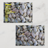 金星のハマグリ[หอยลาย] 名刺 (正面/裏面)