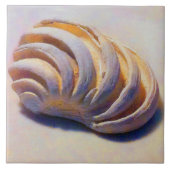 金星の帝国貝 タイル (正面)