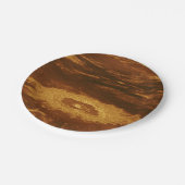 金星の沸騰表面 ペーパープレート (アングル)