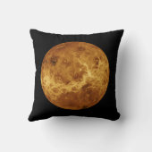 金星の表面 クッション (裏面)