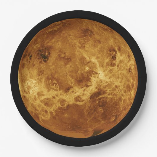 金星の表面 ペーパープレート (正面)