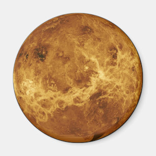 金星の表面 マグネット