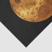 金星の表面 薄葉紙 (詳細)