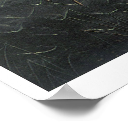 金星の誕生 ポスター (角)