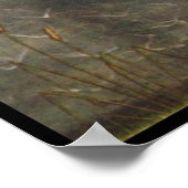 金星の誕生 ポスター (角)