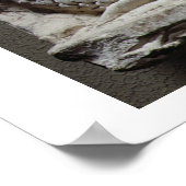 金星の誕生(石灰岩) ポスター (角)