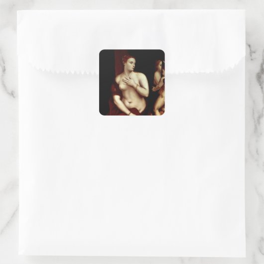 金星の鏡 スクエアシール (バッグ)