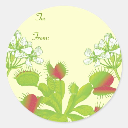 金星フライトラップギフト ラウンドシール (正面)