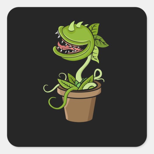 金星フライトラップ植物ギフト男性の肉食植物 スクエアシール (正面)