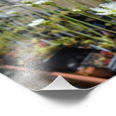 金星フライトラップ花 フォトプリント            (角)