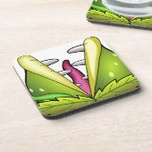 金星フライトラップ コースター (左側)