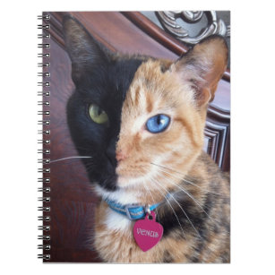 金星猫の螺線形ノート ノートブック