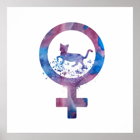 金星猫 ポスター (正面)