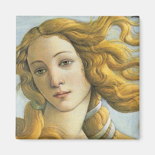 金星詳細磁石 マグネット (正面)