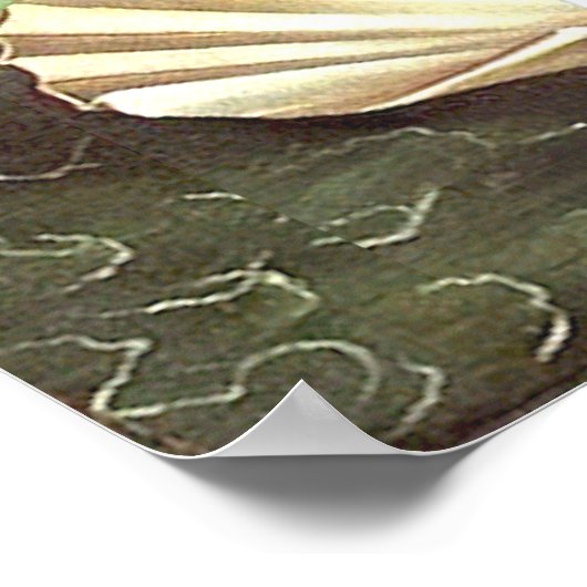 金星誕生 ポスター (角)