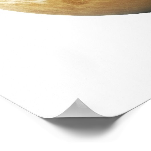 金星 ポスター (角)