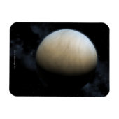 金星 マグネット (横)