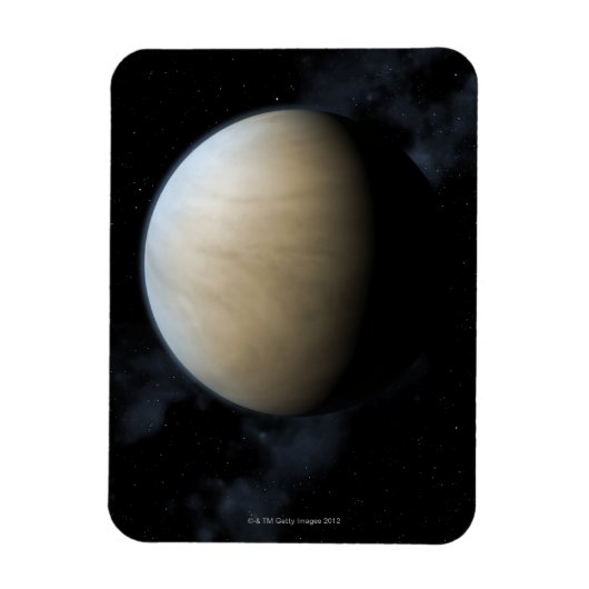 金星 マグネット (縦)