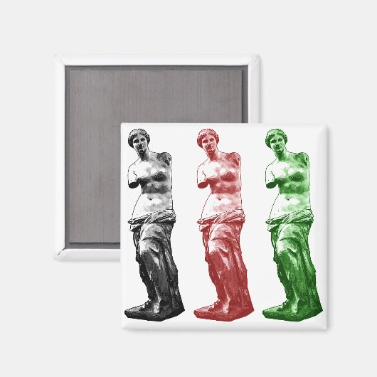 金星 マグネット (正面/裏面)