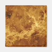 金星 マグネット (正面)