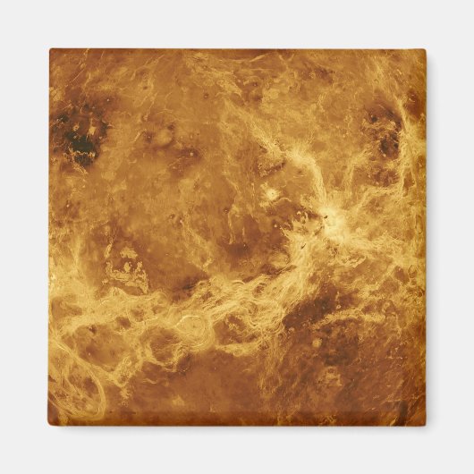 金星 マグネット (正面)