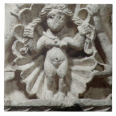 金星(石灰岩)の誕生 タイル (正面)