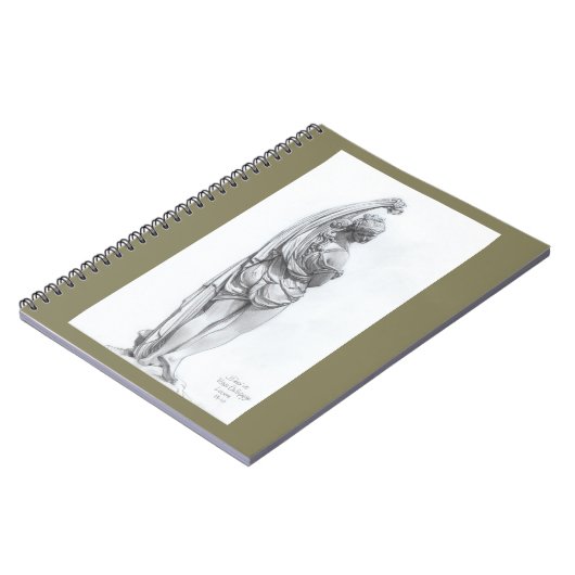 金星Callipyge ノートブック (左側)