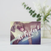 金曜日だ！ ポストカード (スタンド正面)