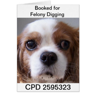 金曜日の顔写真