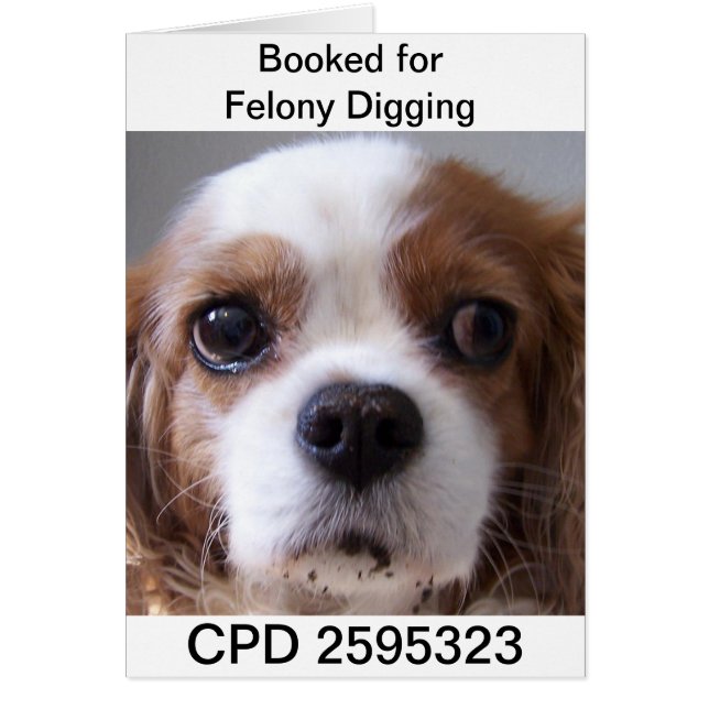 金曜日の顔写真 (正面)