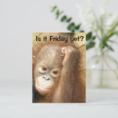 金曜日 ポストカード (スタンド正面)